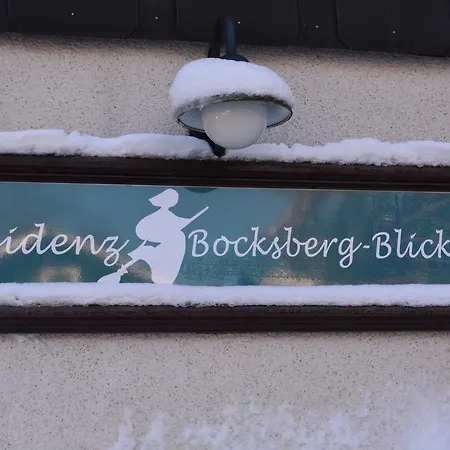 Hoffmann'S Apartment In Der Residenz Bocksbergblick Goslar Exterior photo